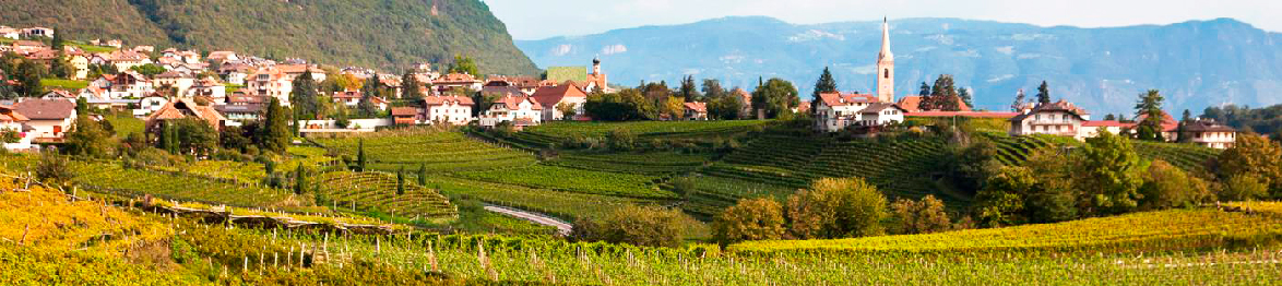TRENTO/ALTO ADIGE/TERMENO/CALDARO/APIANO