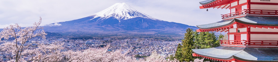 ENCANTOS DA ÁSIA – CHINA, CORÉIA E JAPÃO FLORADA DAS CEREJEIRAS
