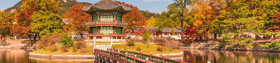 DUBAI - SEOUL